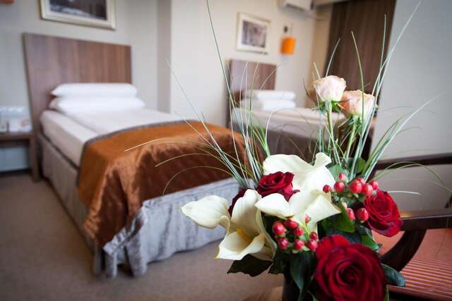 Отель Hotel Ambasador Бухарест-4